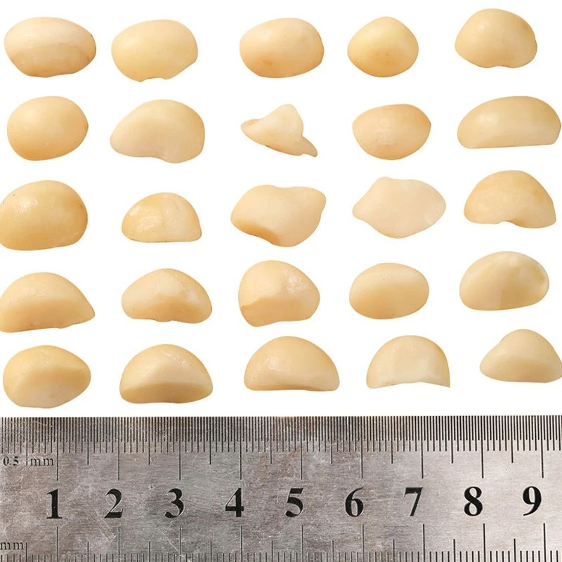 Natural Macadamia Nuts price